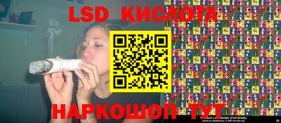 ГАЛЛЮЦИНОГЕННЫЕ ГРИБЫ Камышлов