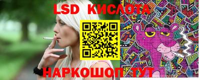 ГАЛЛЮЦИНОГЕННЫЕ ГРИБЫ Камышлов