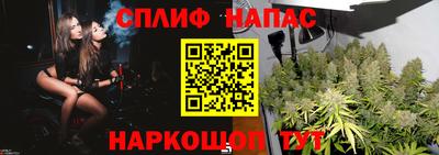 гашик Кандалакша