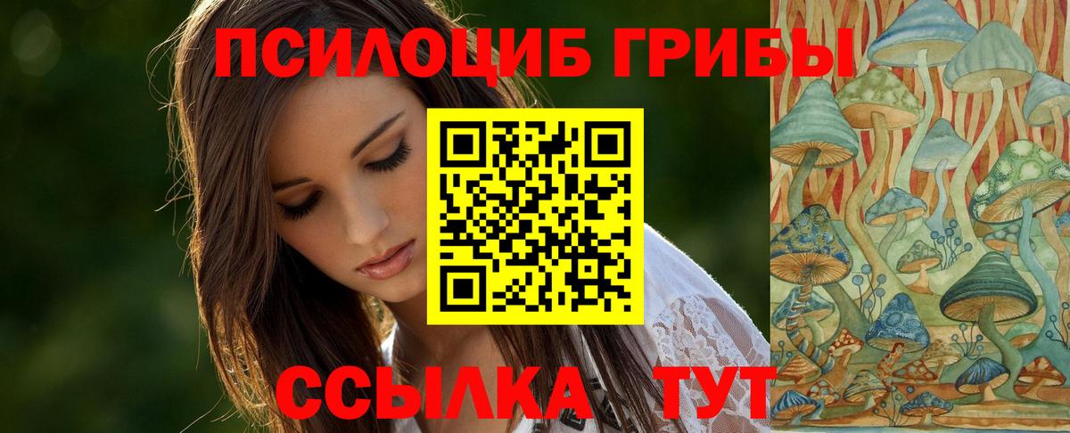 Псилоцибиновые грибы Cubensis  Вход с VPN  магазин  наркотиков  Галлюциногенные грибы MAGIC MUSHROOMS  Лесной 